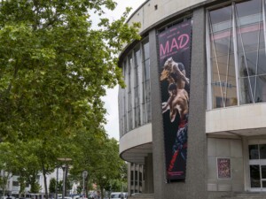 habillage-de-facade-maison-de-la-danse-lyon